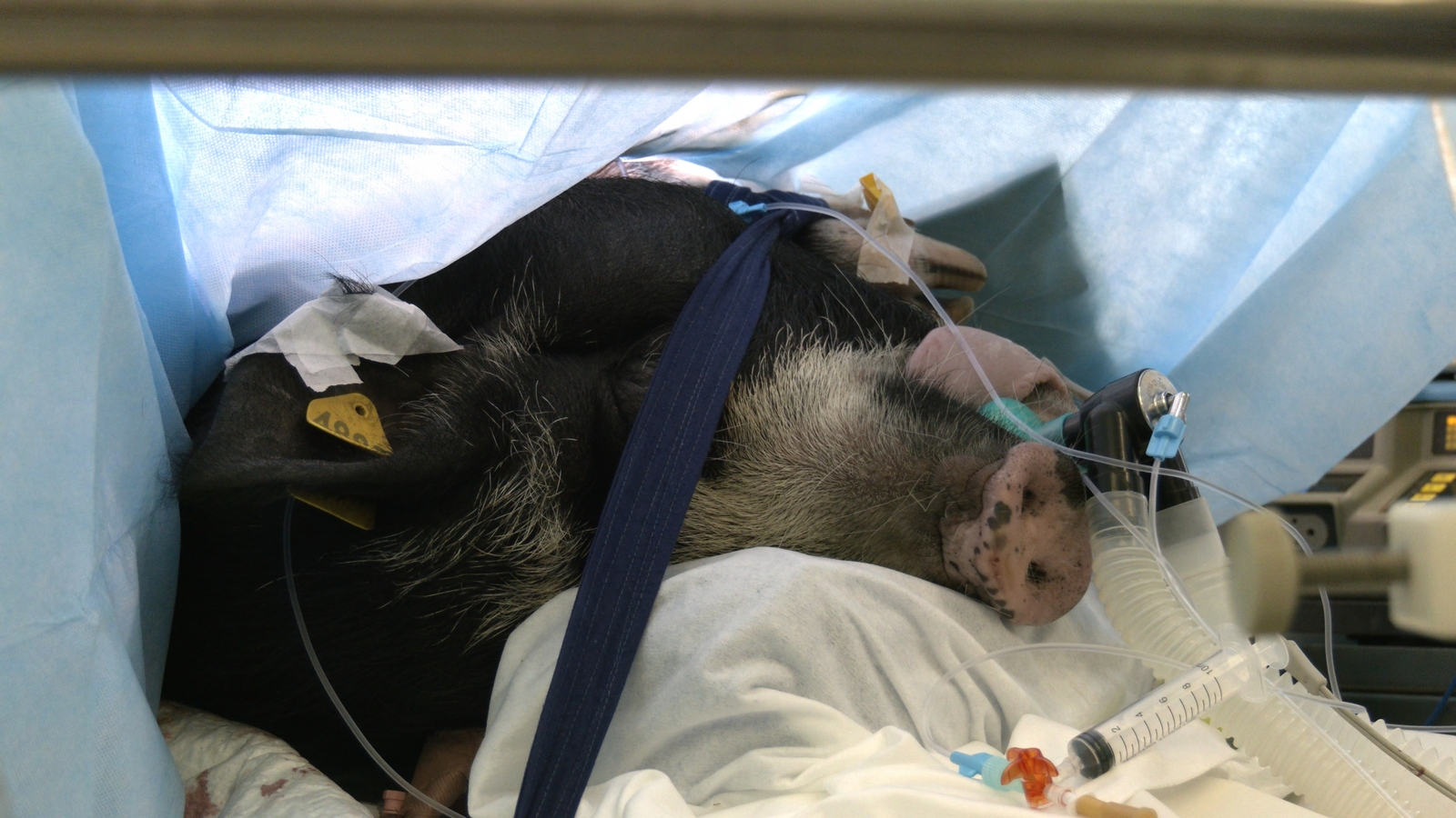 Для ТВ 4K_00_02_35_28.jpg Для ТВ 4K_00_02_35_28.jpg